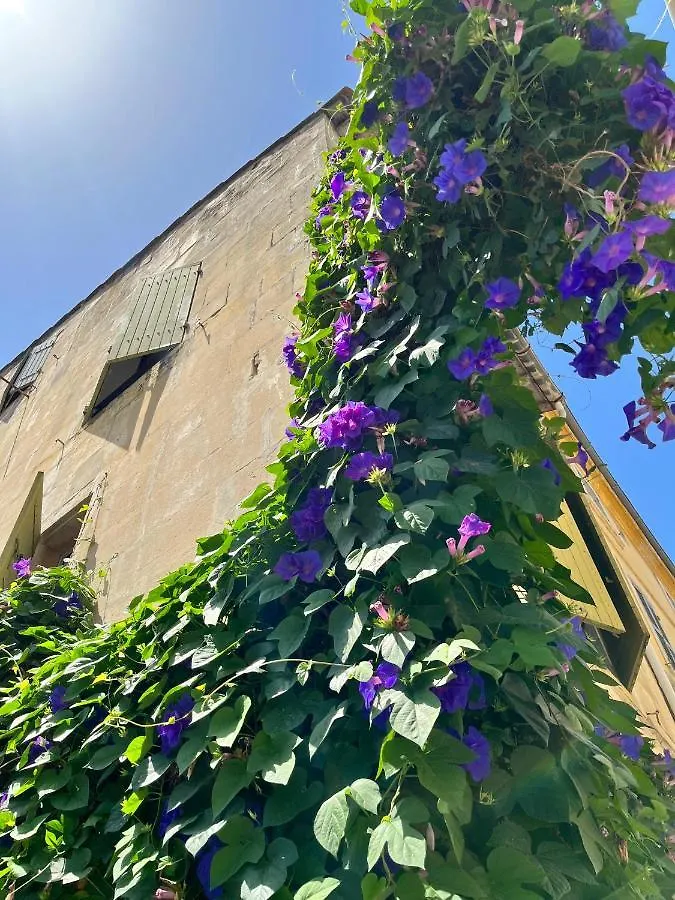 Appartement Le Donjon De La Roquette à Arles Séjour chez l'habitant